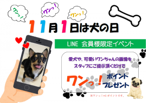 スマイルコンタクト会員様限定　上新庄　犬の日　キャンペーン